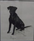 C J Sharpley Pastel drawing "Meg", black Labrador,