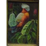 Reproduction oil on board Study of exotic parrot