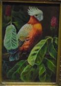Reproduction oil on board Study of exotic parrot