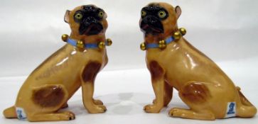 Pair of model pug dogs with blue collars, marked 'Dresden' to base, 712C,