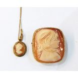 9ct gold mounted cameo brooch,