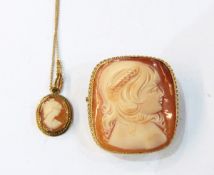 9ct gold mounted cameo brooch,