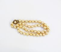 String of cultured pearls with 9ct gold clasp,