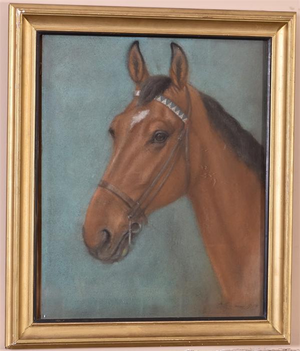 A Pastel Study of a Horse