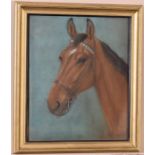 A Pastel Study of a Horse