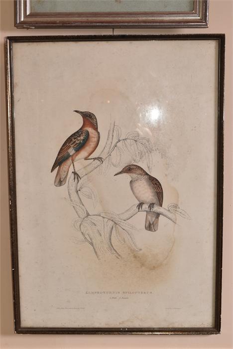 A Pair Of Bird Prints - Image 7 of 7