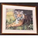 A Print Of A Tiger