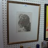 A C Maurice and Edward J Detmold etching titled 'The Falcon',