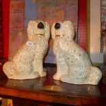 Two Staffordshire Dogs