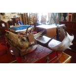 A mounted taxidermy of a fallow deer