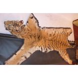 A 19th Century tiger skin rug (a/f)