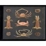 Case of Crabs and Sea Creatures