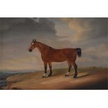 A nineteenth century English naive school oil on board painting of a horse