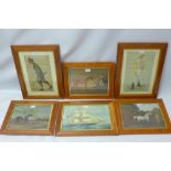 A collection of prints in maple frames including after George Stubbs and Vanity Fair,