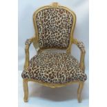 A French Louis XV style open armchair with leopard print