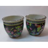 A pair of Chinese famille noir jardiniere decorated with floral and fauna with fish interior