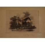 Engraving, after Geo Stubbs scene of two horses mother and foal, inscribed "Published by Sherwood Ne