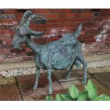 Sculpture, Joyce Playle, resin sculpture Picasso's Goat