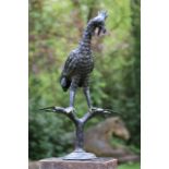 Sculpture, Tribal African Bird bronze