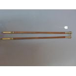Two yellow metal walking canes with crests