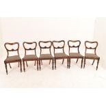 A set of six early Victorian rosewood balloon back chairs