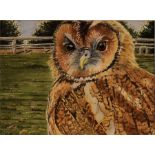 Original Watercolour Mounted and Framed - Tawny Owl