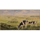 Original Watercolour Mounted and Framed - Cows on Roundway Hill