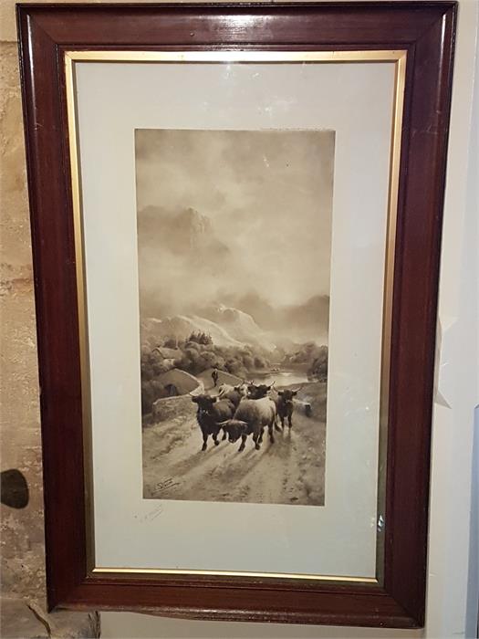 Two black and white prints of Highland Cows with a mountainous landscape - Image 5 of 5
