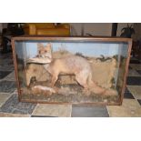 An early C20th pitch pine cased taxidermy of a fox and pheasan