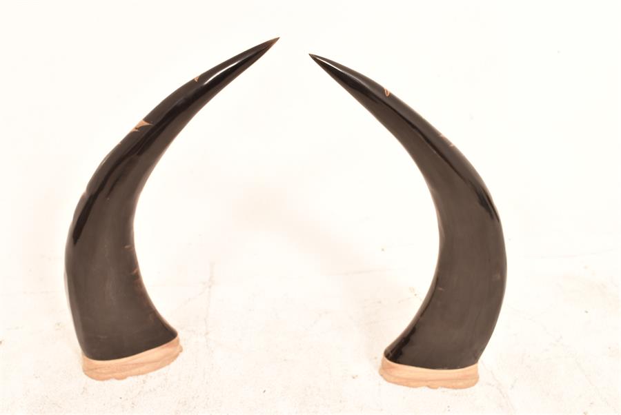 Carved Buffalo Horns, Unique - Image 2 of 4