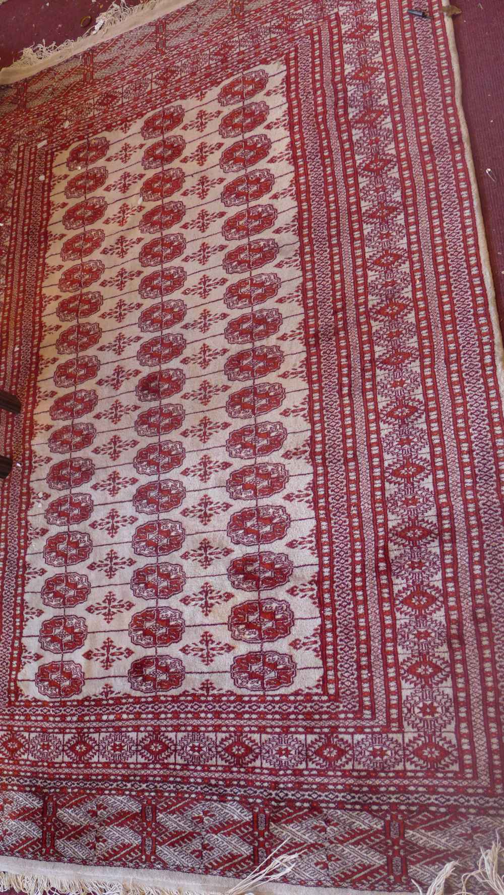 A Bokhara rug with eliphant pad motifs on a red and cream ground contained by borders,