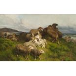 SHEEP IN A MEADOW by August Friedrich Albrecht Schenck (German, 1828–1901)