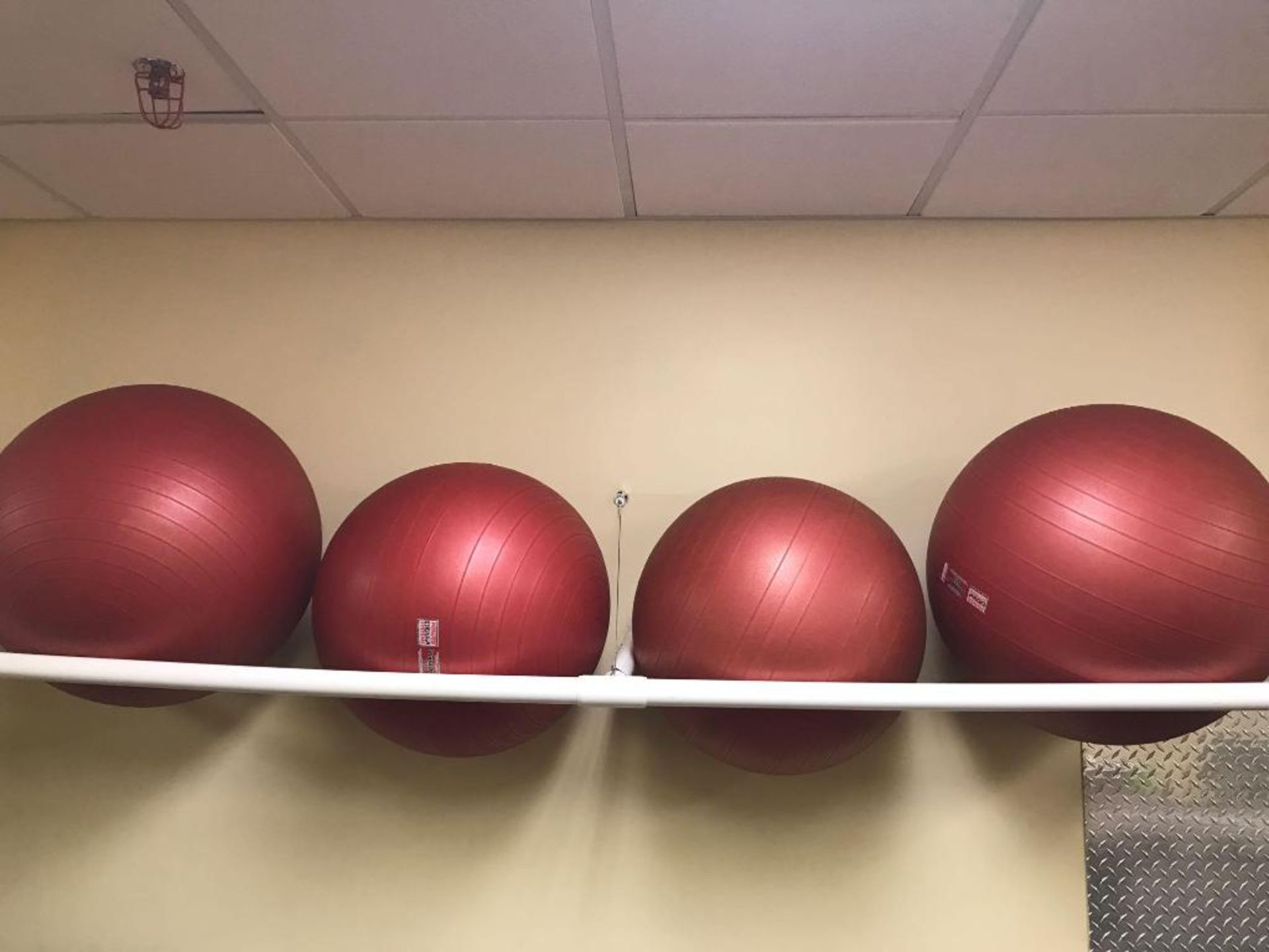 Lot of Exercise Balls