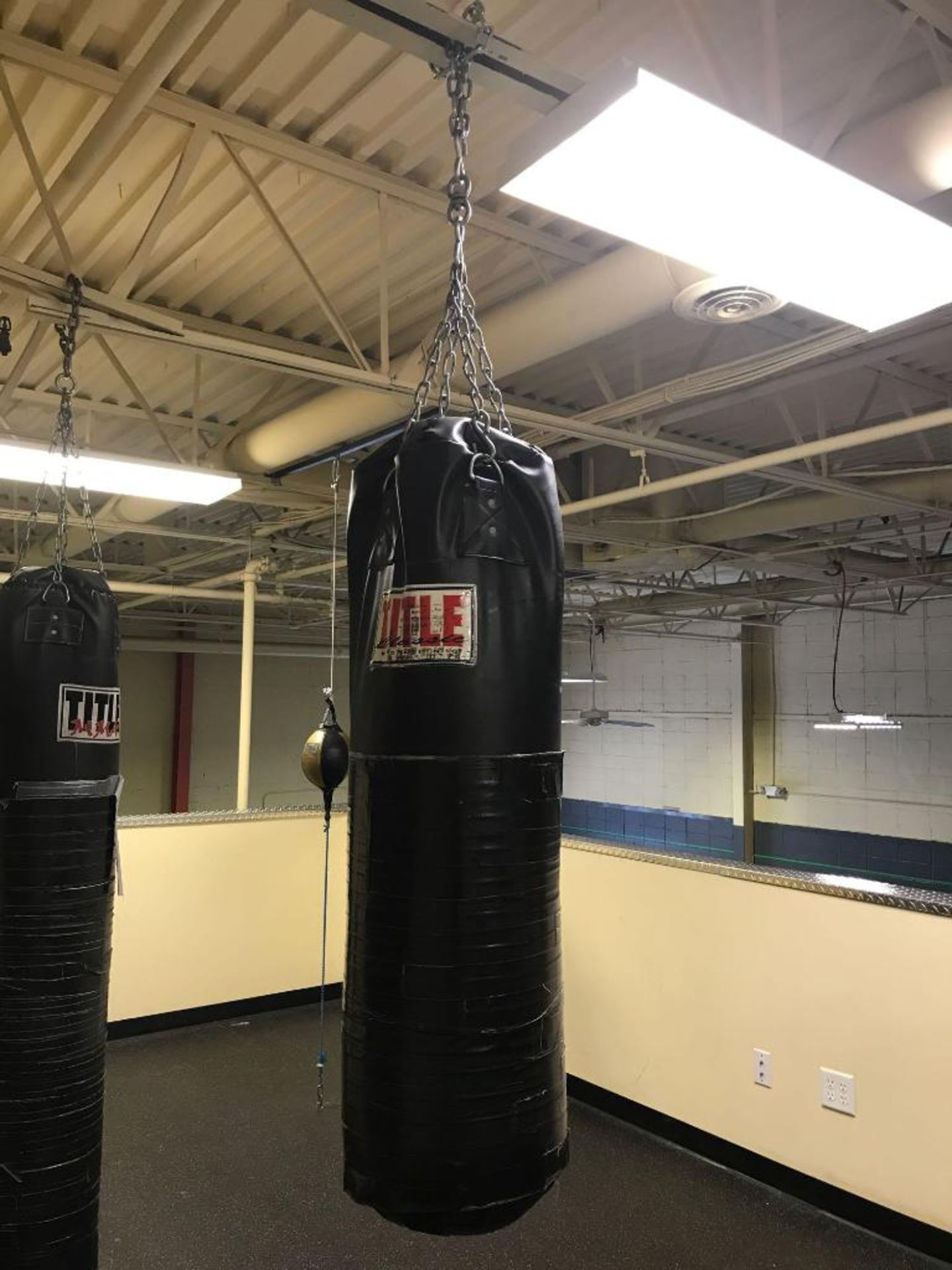 Title Classic Double End Punching Bag