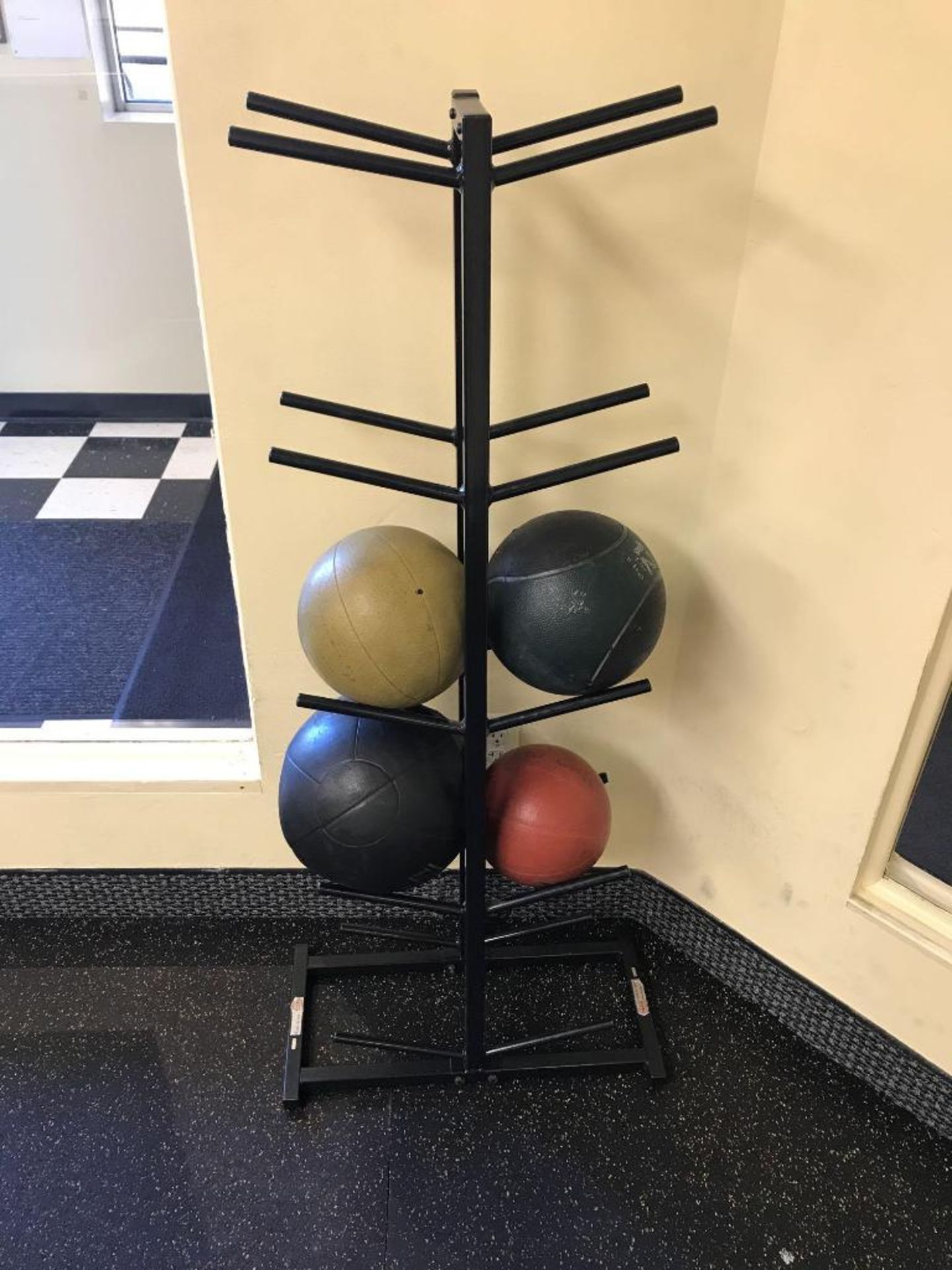 Rack of Medicine Balls