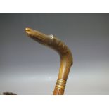 A 19TH CENTURY WALKING STICK WITH CARVED HORN HANDLE, in the form of a greyhound, overall L 87.5 c