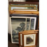 A QUANTITY OF PICTURES AND PRINTS, TO INCLUDE BOTANICAL