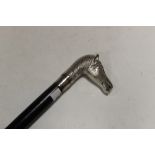 A CHROME HORSE HEAD TOPPED WALKING CANE