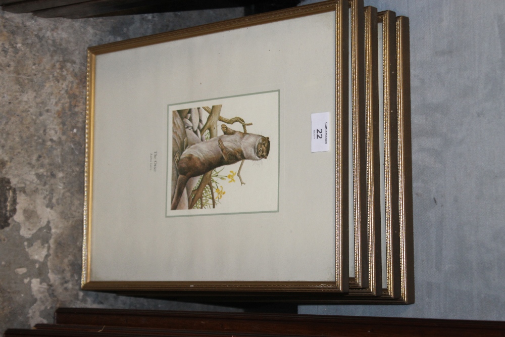 FIVE SMALL FRAMED AND GLAZED BRITISH WILDLIFE PRINTS