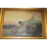 A NEAR PAIR OF VICTORIAN OIL ON CANVAS PAINTINGS DEPICTING HIGHLAND CATTLE, BOTH SIGNED BUT