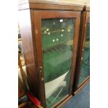 A MAHOGANY GLAZED GUN / COLLECTORS CABINET