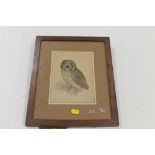 A FRAMED AND GLAZED COLOURED PRINT OF AN OWL WITH DURUER MONOGRAM 1508