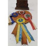 A COLLECTION OF VINTAGE SHOW JUMPING ROSETTES, to include 'Horse of the year show 1959', 'Davos int