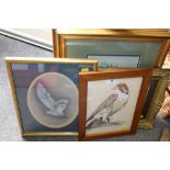 FIVE ORNITHOLOGICAL WATERCOLOURS BY VARIOUS ARTISTS TO INCLUDE J E DUNN, MARGARET STEVENSON ETC