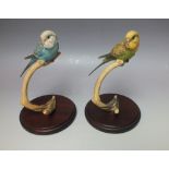 A BORDER FINE ARTS BLUE BUDGERIGAR ON PLINTH, RB24A, together with a Border Fine Arts Green Budgeri