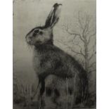 TIMOTHY JOHN GREENWOOD (b. 1947). Study of a hare in a landscape, limited edition etching on paper