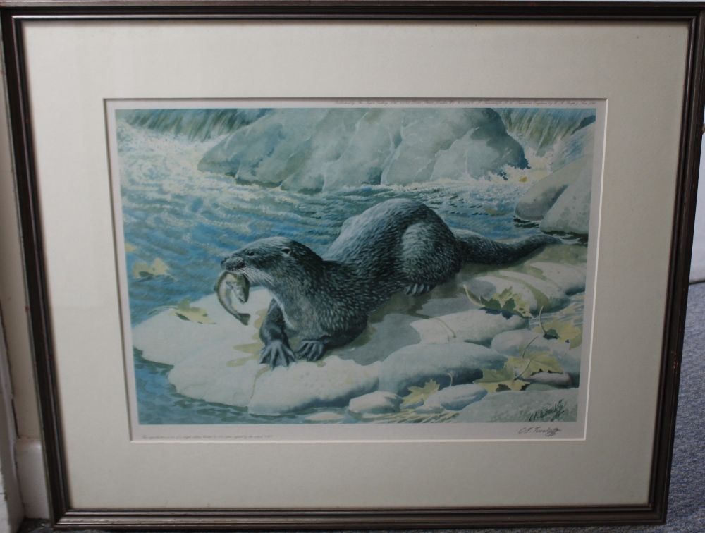 CHARLES FREDERICK TUNNICLIFFE (1901-1979). An otter, signed in pencil, coloured print, framed and g - Image 5 of 6