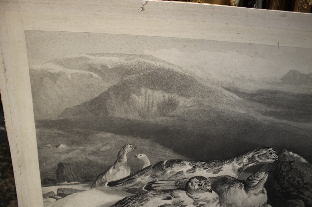 J.S .LANDSEER & CHARLES GEORGE LEWIS (1808 - 1880). Study of ptarmigan in a snowy mountainous land - Image 7 of 9