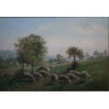 C LAMBERT (XX). Shepherd seated with his flock in a country landscape, signed lower left, oil on bo