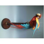 A BORDER FINE ARTS MACAW ON STAND BY RICHARD ROBERTS, limited edition number 103 of 950, with certi